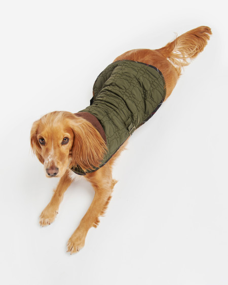 Dog Bone Quilted Dog Coat