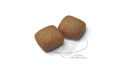 Giant Junior Active kibble