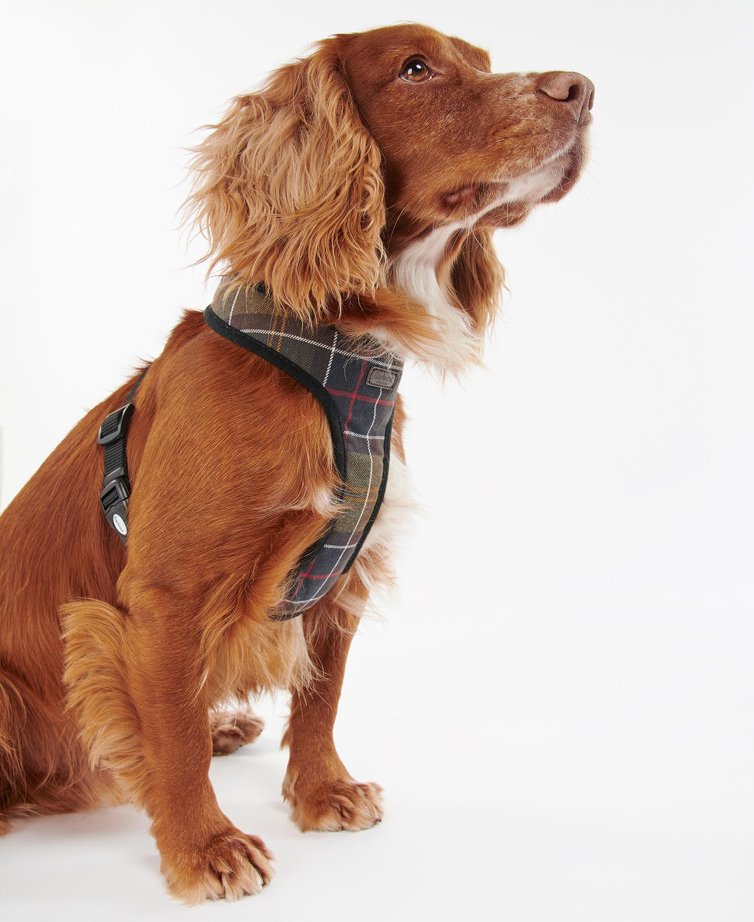 Tartan Dog Harness image number 1