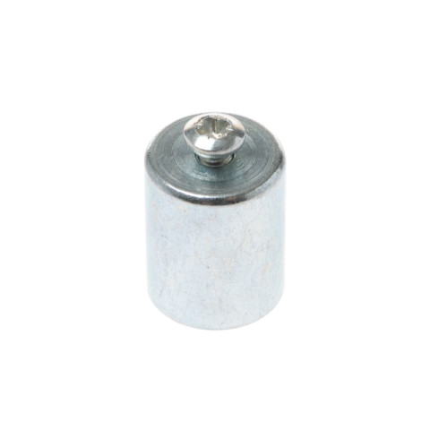Magnet