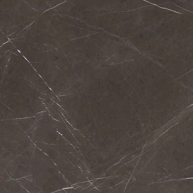 Valentina Carbon 48×48 Slab Matte Rectified