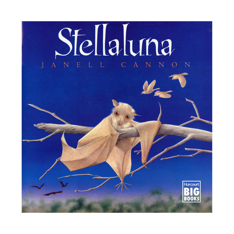 Stellaluna Big Book