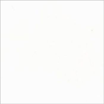 White square with a thin gray border, uniformly illuminated and unmarked, centered on a neutral background with minimal shadows and no discernible features.