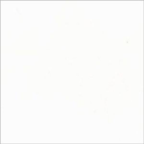 White square with a thin gray border, uniformly illuminated and unmarked, centered on a neutral background with minimal shadows and no discernible features.