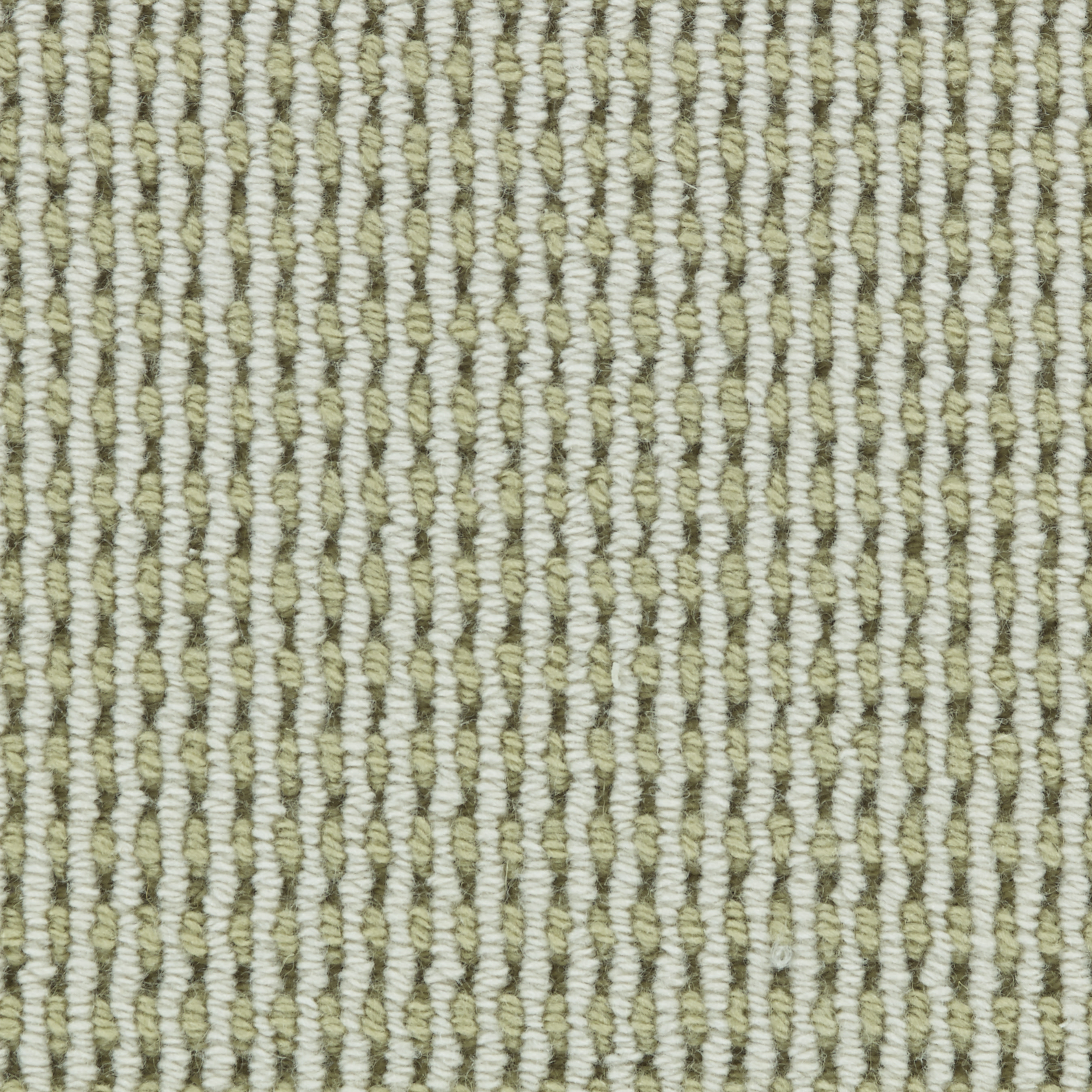 color-rug1
