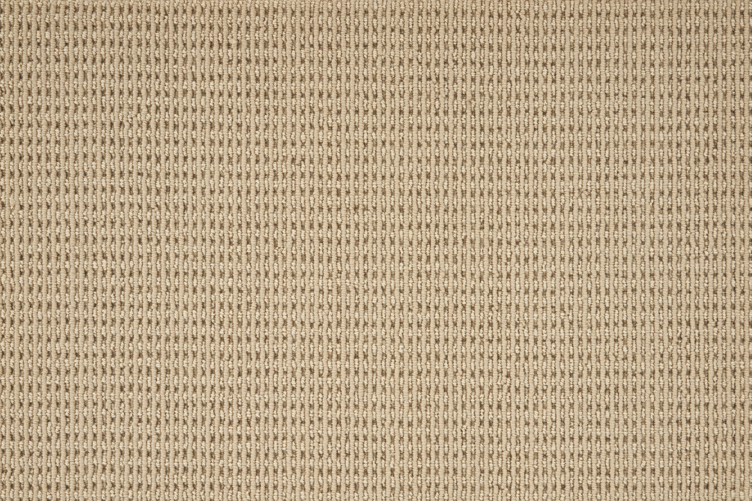 color-rug1