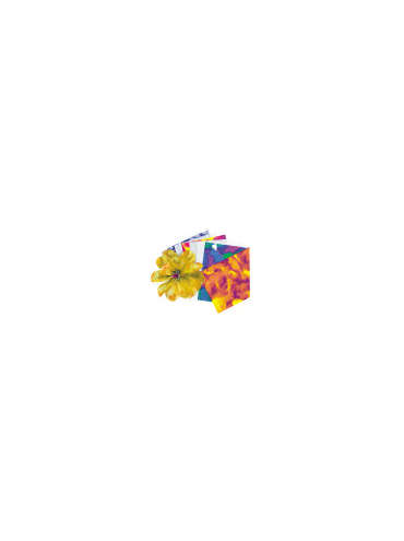 s--vGD8Hm5_--/nhyiqcshapfwmgafwy5m.jpg