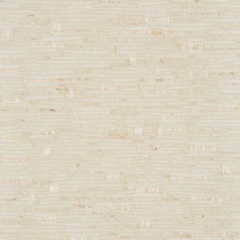 Beige woven grasscloth wall covering, horizontal fiber striations and subtle flecks, covering a flat surface and evenly lit, suggesting a neutral interior wall or fabric swatch.