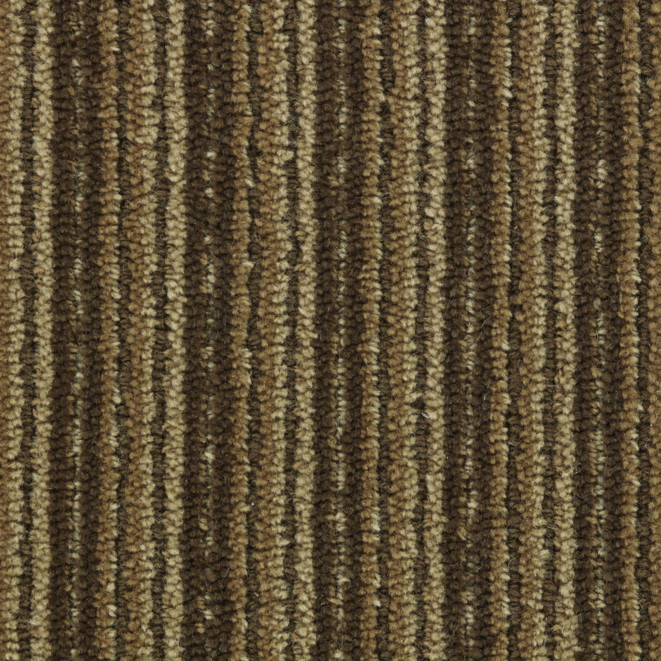 color-rug1