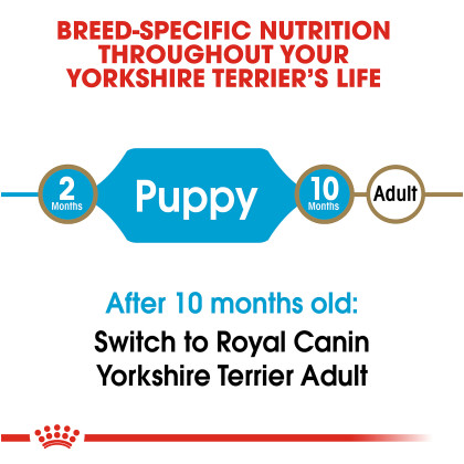 Yorkshire Terrier Puppy Dry Dog Food