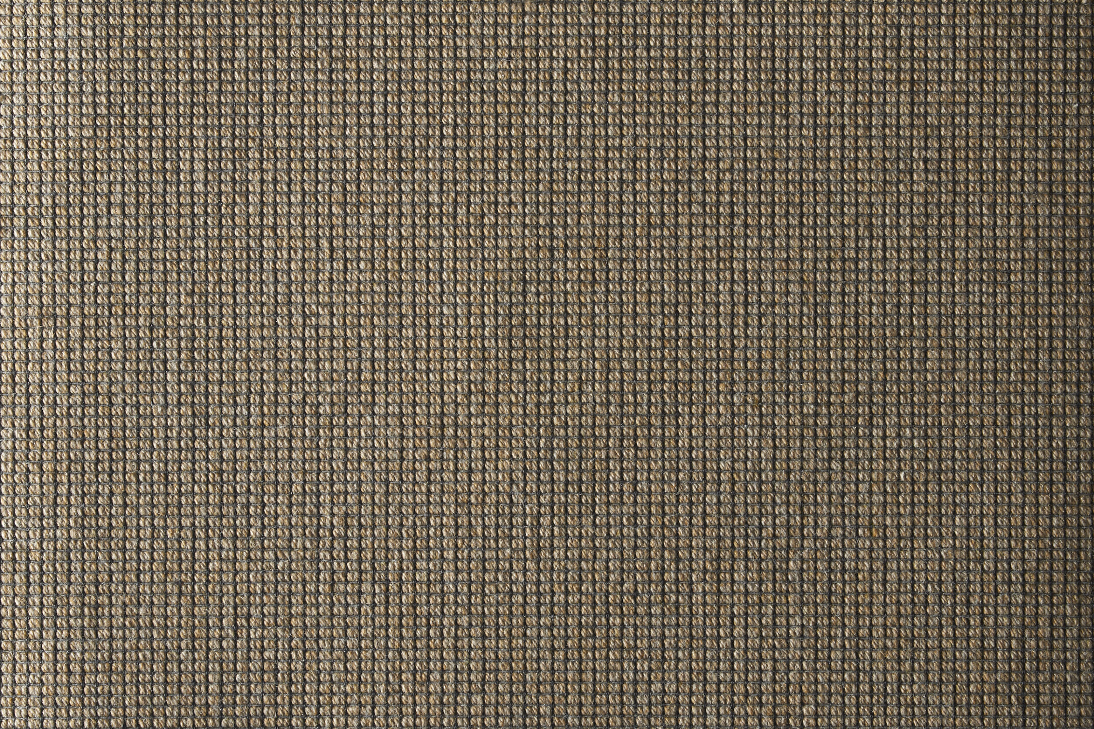 color-rug1