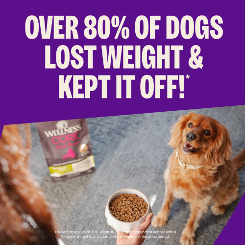 The benefits of Wellness CORE  Small Breed Healthy Weight Turkey & Chicken Recipe