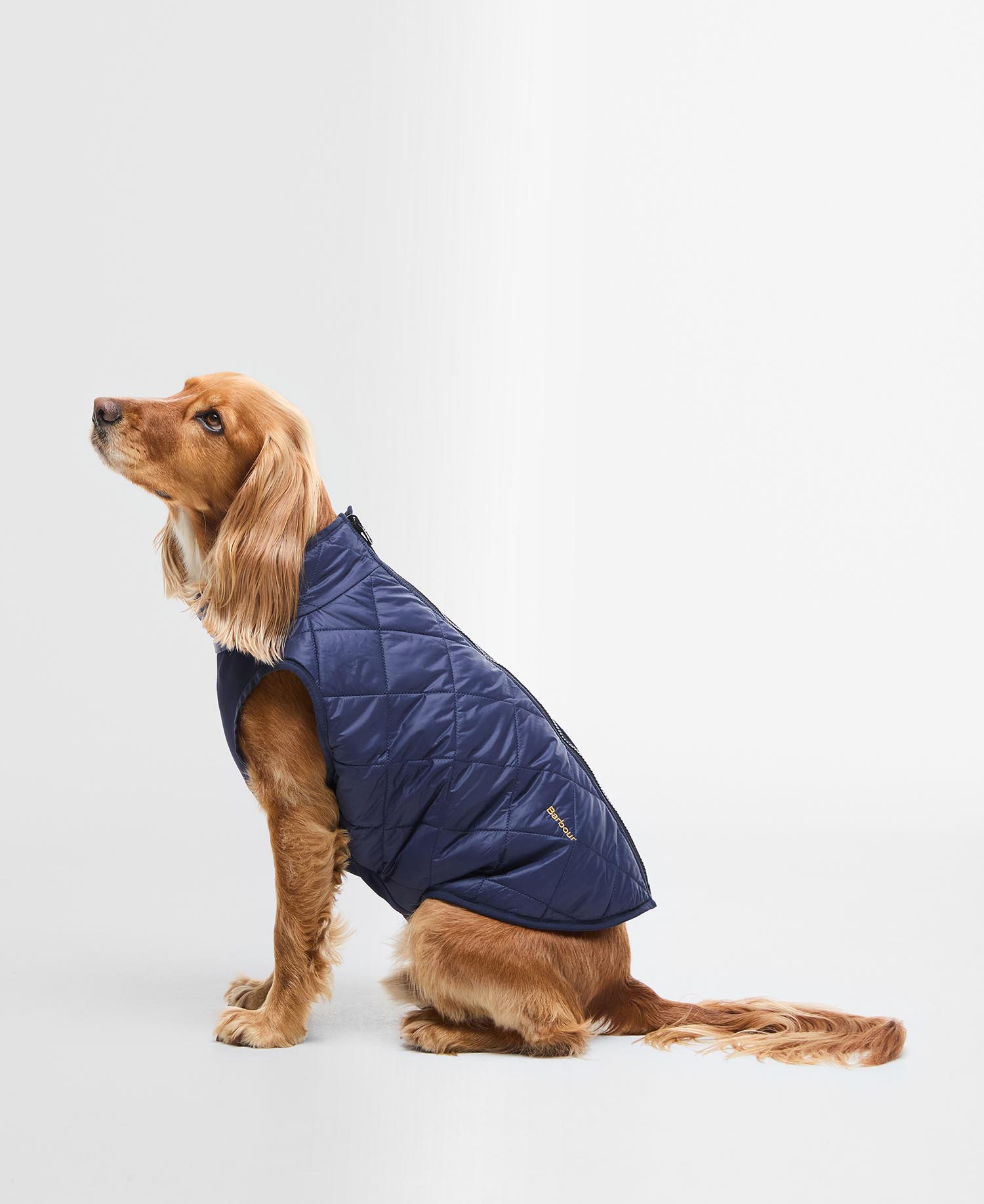 Cappottino per cani reversibile Field image number 0