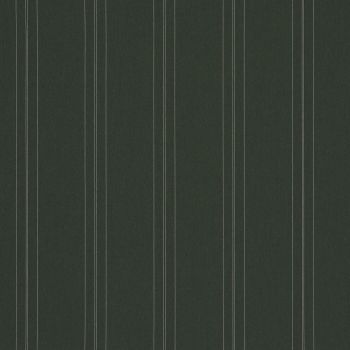 Dark green vertical-striped wallpaper, evenly spaced thin pale double lines; covering a flat interior wall, matte texture, uniform lighting, minimalist decorative pattern.