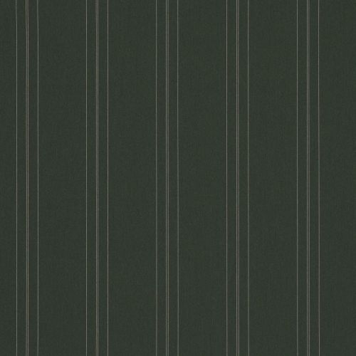 Dark green vertical-striped wallpaper, evenly spaced thin pale double lines; covering a flat interior wall, matte texture, uniform lighting, minimalist decorative pattern.