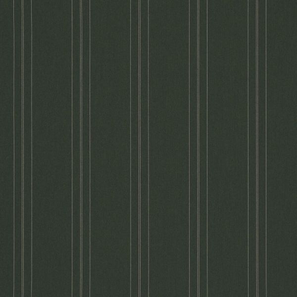Dark green vertical-striped wallpaper, evenly spaced thin pale double lines; covering a flat interior wall, matte texture, uniform lighting, minimalist decorative pattern.