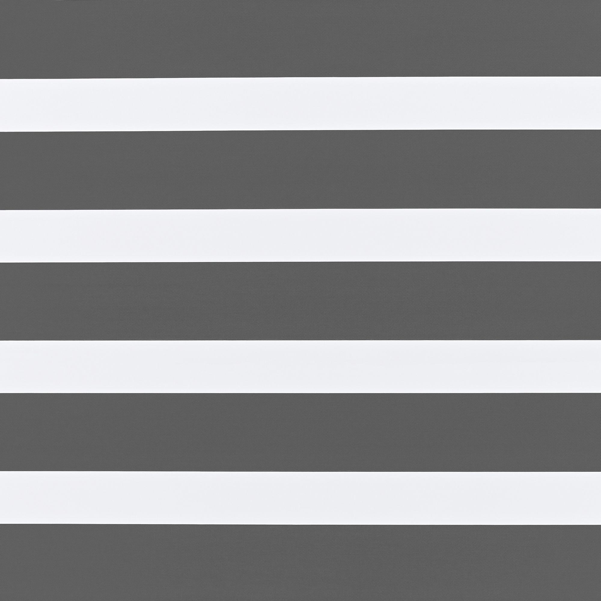 Eve Grey Day and Night Blind