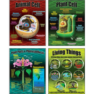 Life Science Posters, Set of 4