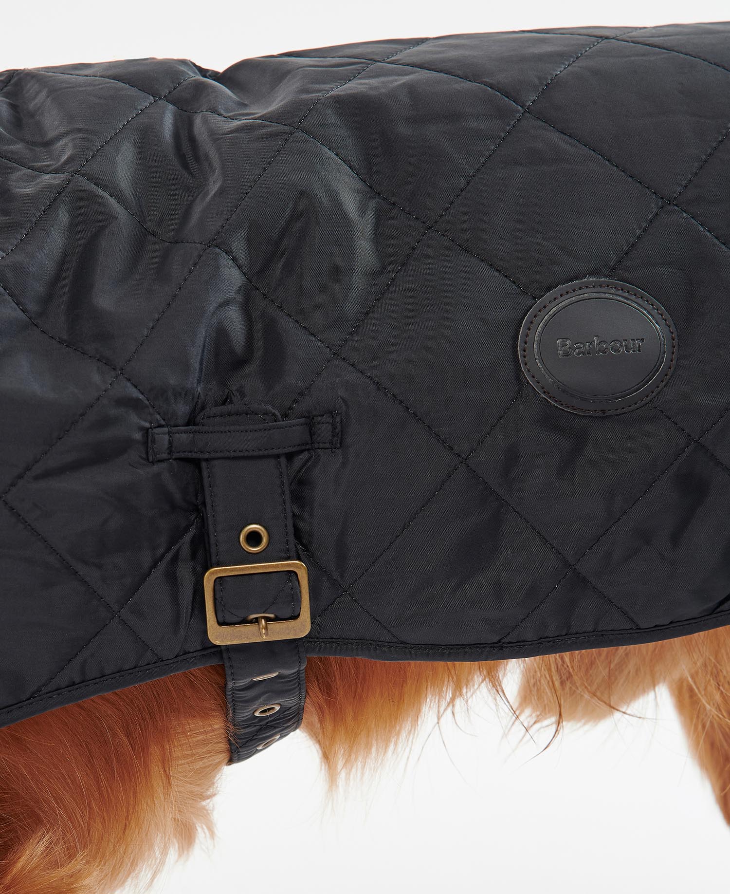 Quilted Dog Coat image number 3