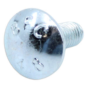 Screw