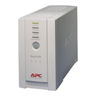 APC Back-UPS® 500 Tower Style