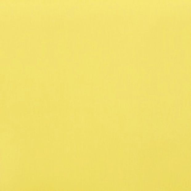 Acacia Chartreuse Conservatory Vertical Blind