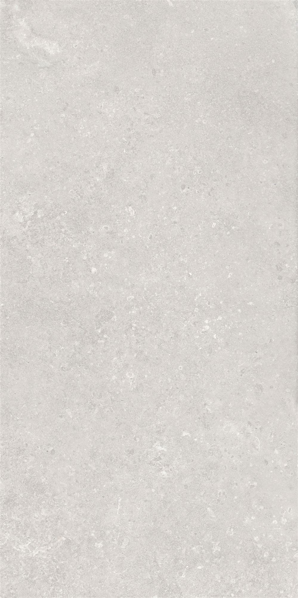 30X60W ROYALSTONE L.GREY MAT nR