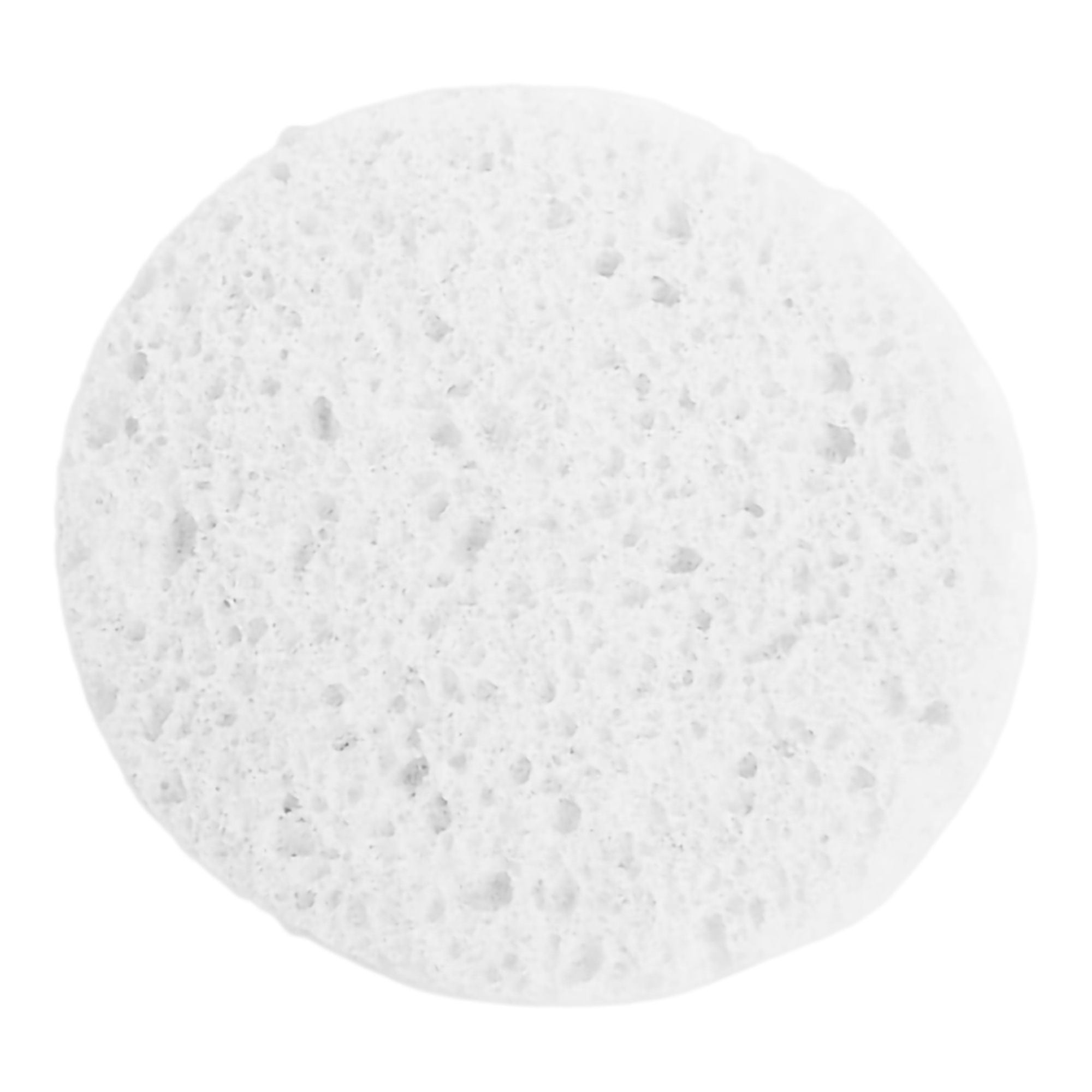 Prosana Facial Sponge