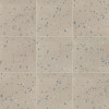 Color Story Floor Stable Speckle 12×12 Field Tile