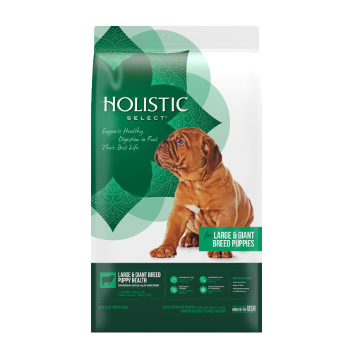Holistic Select Large and Giant Breed Adult Health Chicken Meal and Oatmeal Recipe by Holistic Select