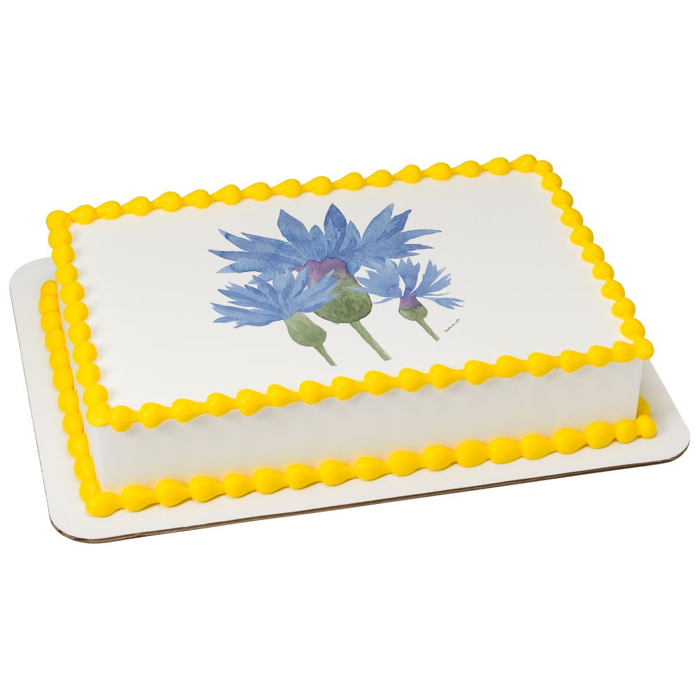 Image Cake Watercolor Cornflower