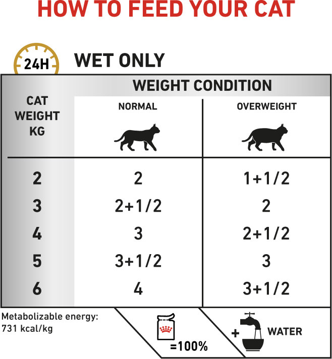 Feeding Guide