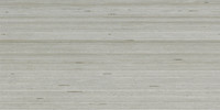 Shibusa Grigio 12×24 Field Tile Matte Rectified