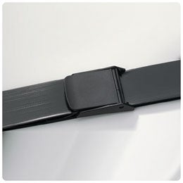 Troy Biologicals BELT, GAIT EZ-CLEAN 60"X2" LF BLK