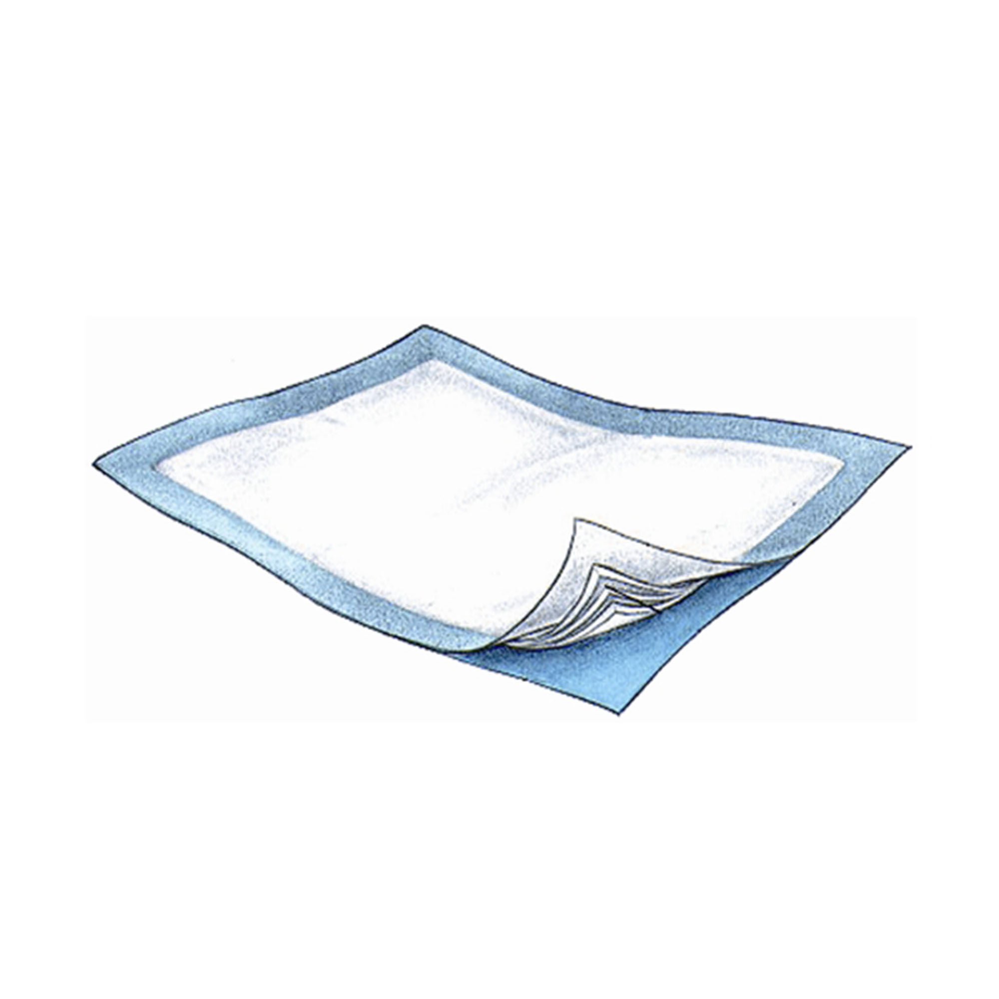 Passport™ Underpad, 30 x 36 Inch