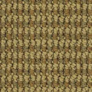 color-rug1