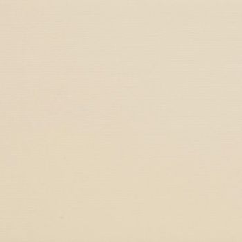 Beige textured wall displaying subtle horizontal, paper-like grain, appearing uniformly lit and flat, serving as a neutral background in soft, warm, diffuse lighting.