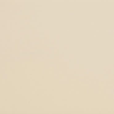 Beige textured wall displaying subtle horizontal, paper-like grain, appearing uniformly lit and flat, serving as a neutral background in soft, warm, diffuse lighting.