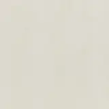 Theoretical Evolved Wishful White 24×24 Field Tile Matte Rectified