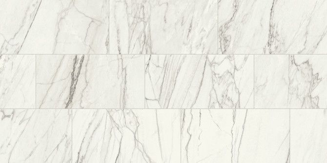 Color Variation Image