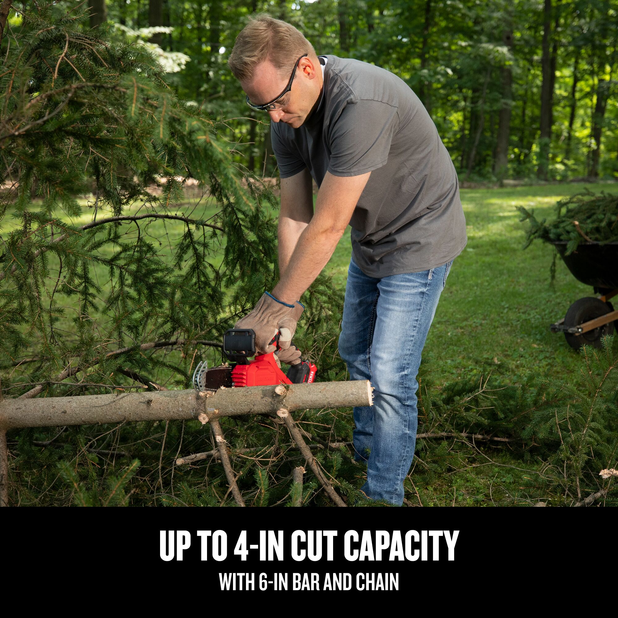 V20 Cordless Pruning Chainsaw 