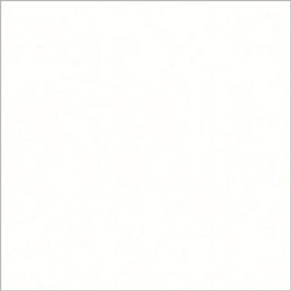 Blank white square with a thin gray border â€” occupying the frame, displaying no markings â€” evenly lit neutral background with soft shadows suggesting a flat surface.
