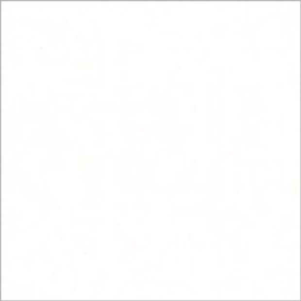 Blank white square with a thin gray border â€” occupying the frame, displaying no markings â€” evenly lit neutral background with soft shadows suggesting a flat surface.