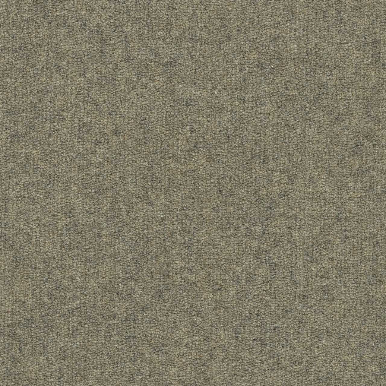 color-rug1