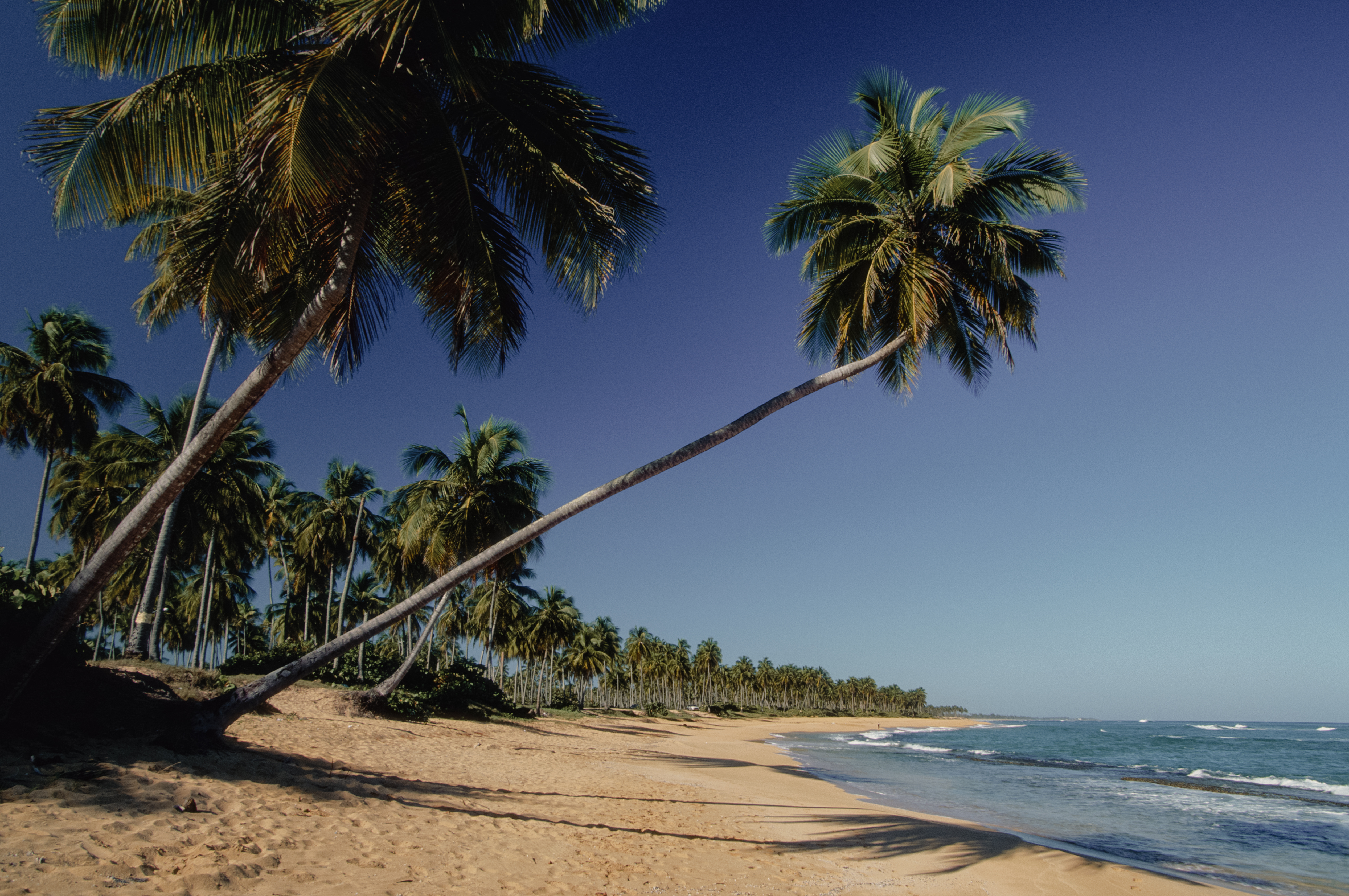 Miami → Miami (9 nights)