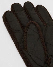 Winterdale Gloves 