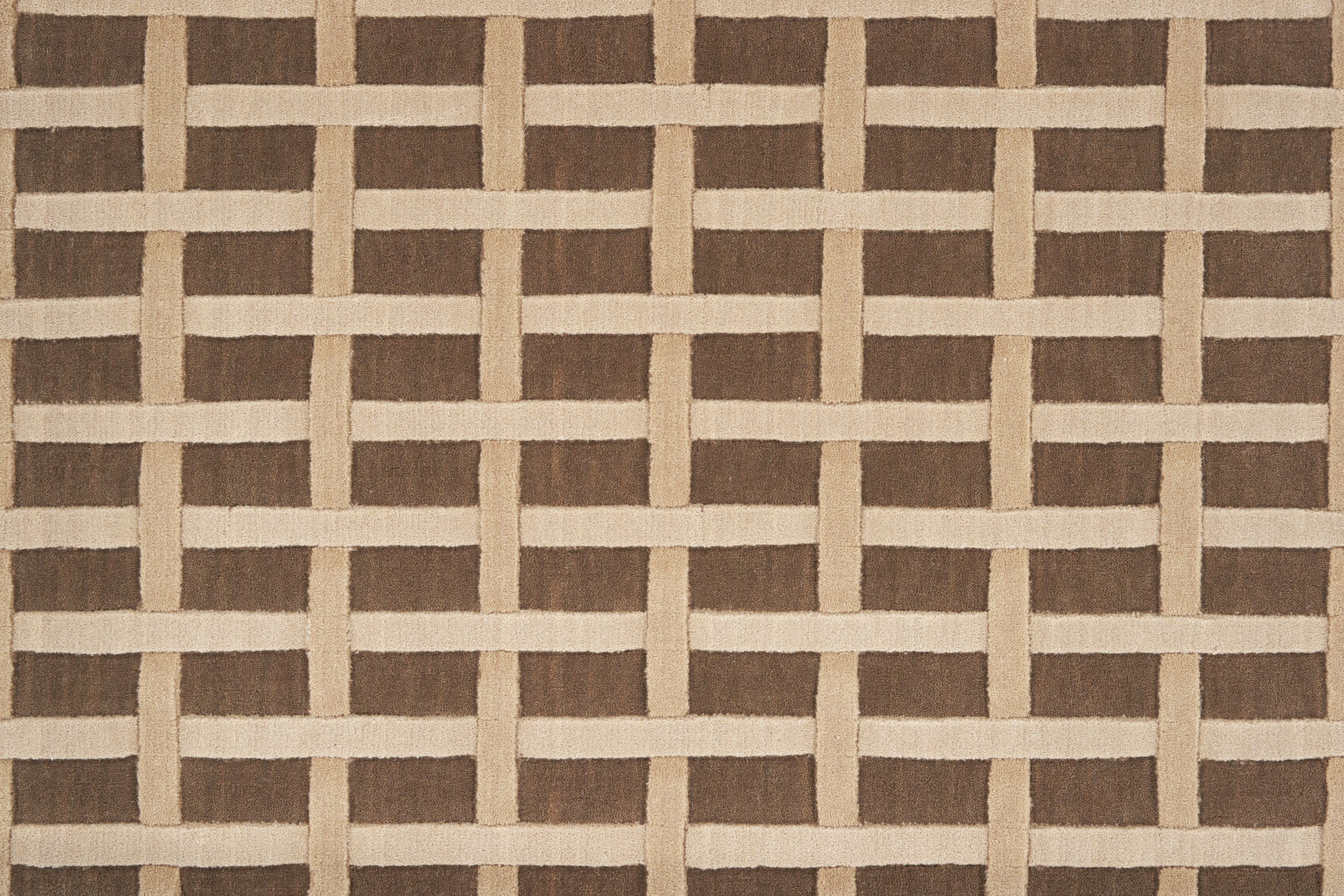 color-rug1