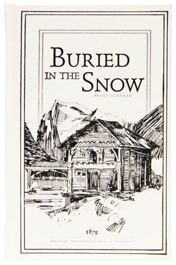 Buried in the Snow