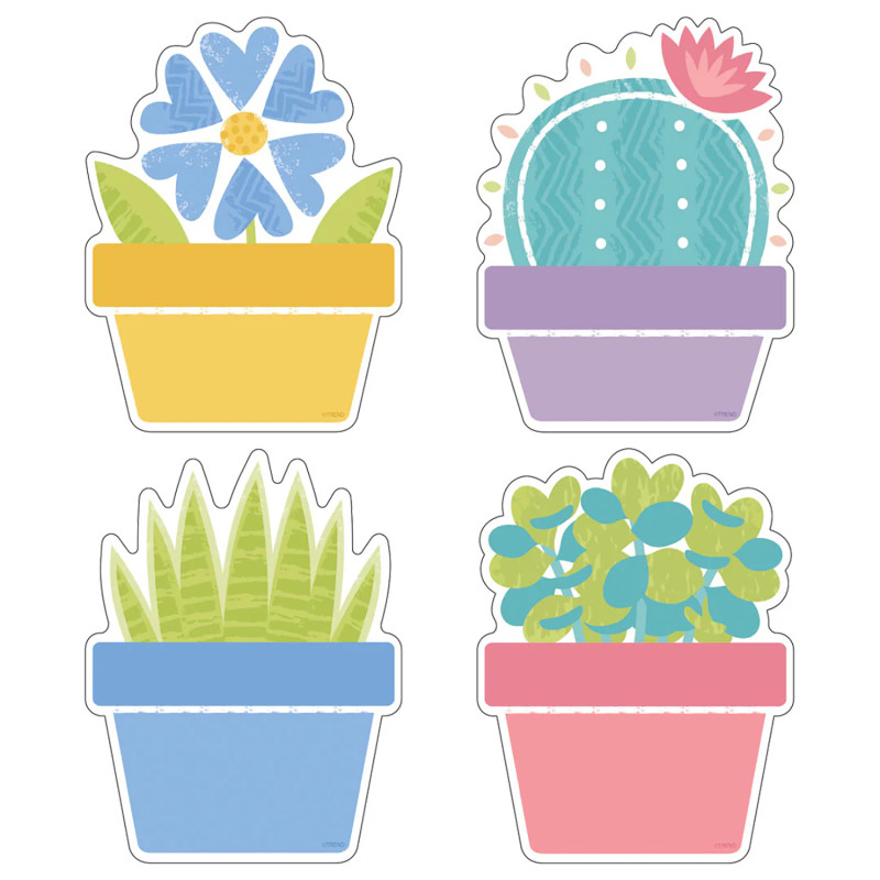 Garden Plants Classic Accents® Variety Pack, Pack of 36