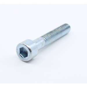 Screw